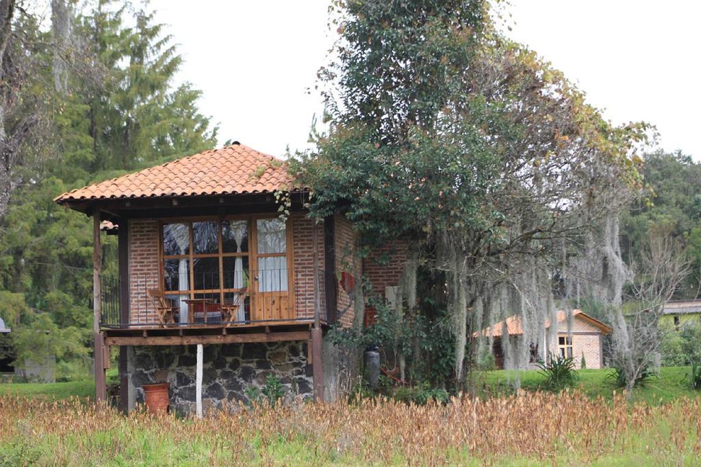 Villa Valle Escondido Cabanas à Huasca de Ocampo Extérieur photo